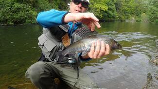 Pesca con mosca en Escocia