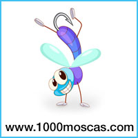 1000 Moscas