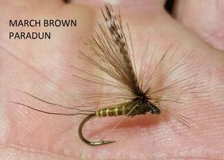 march brown parachute