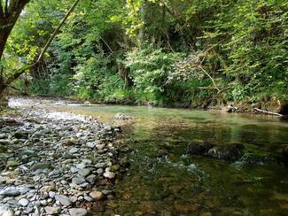 peche pyrenees