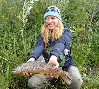 Brown Trout