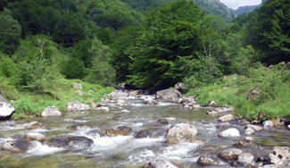 Torrent des pyrénées centrales