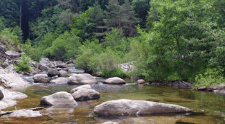 Petite rivière cévenole