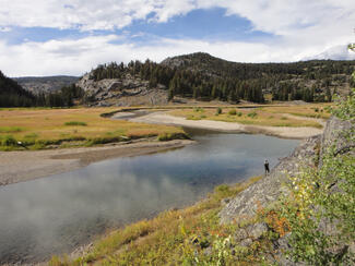 Parc Yellowstone