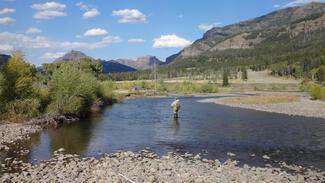 Soda Butte Creek