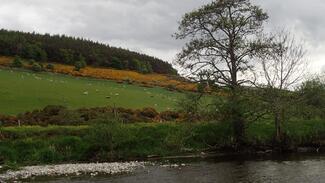 Pesca con mosca en Escocia