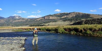 yellowstone